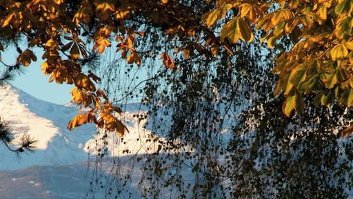 Campanile di Borgata Stella