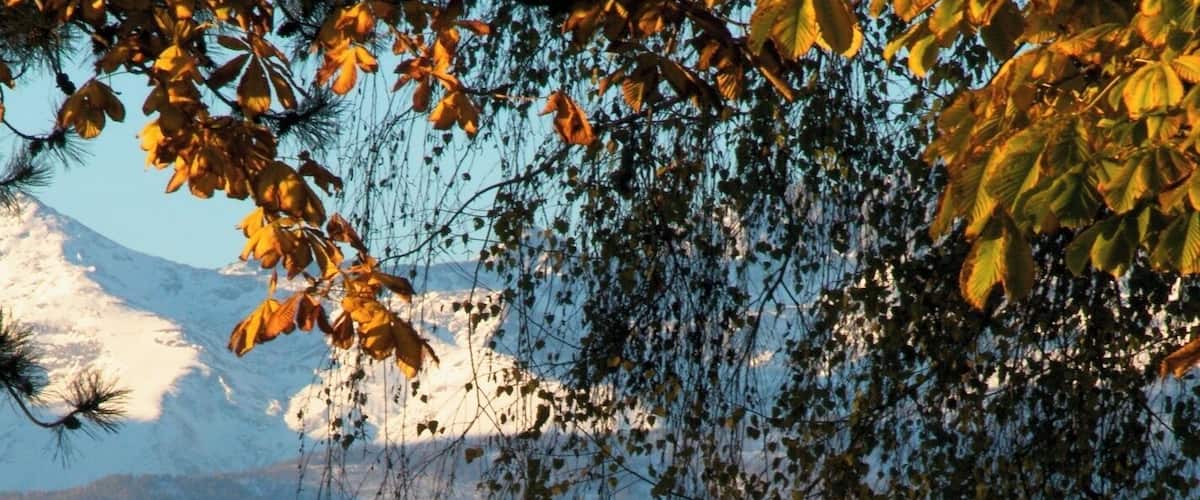 A church with a bell tower, surrounded by autumn foliage and mountains in the background.