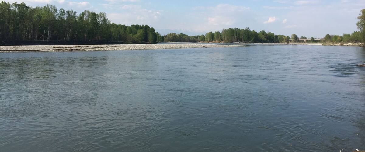 A calm river with a forested bank and a clear sky.