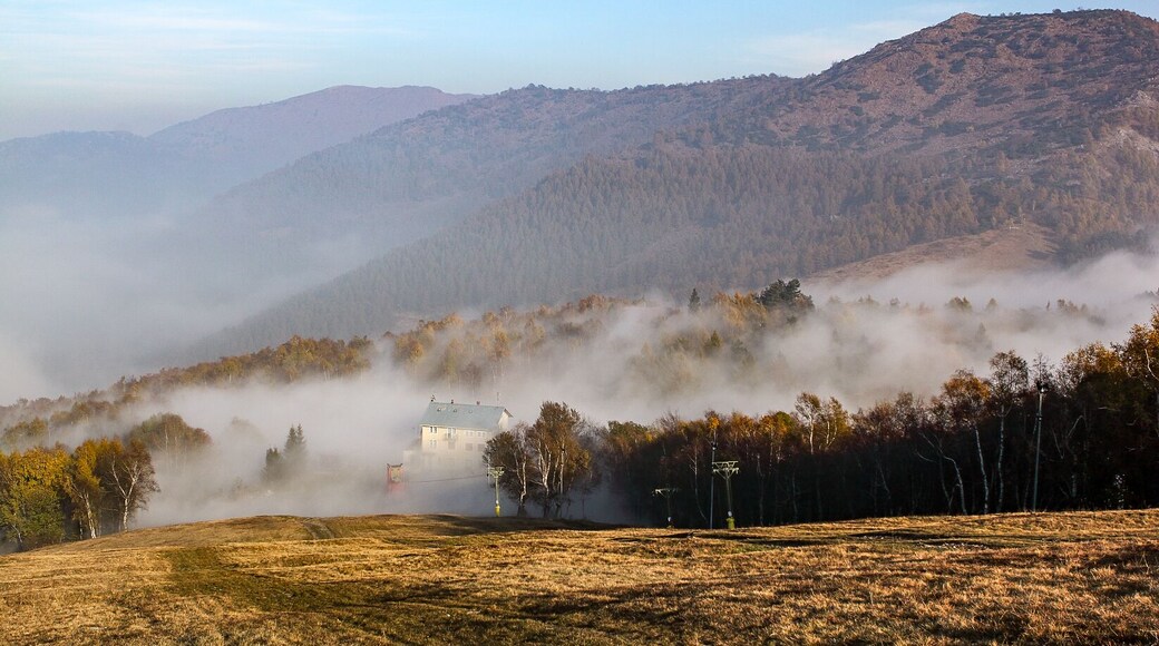 Parco naturale del Colle del Lys (Q3895417)