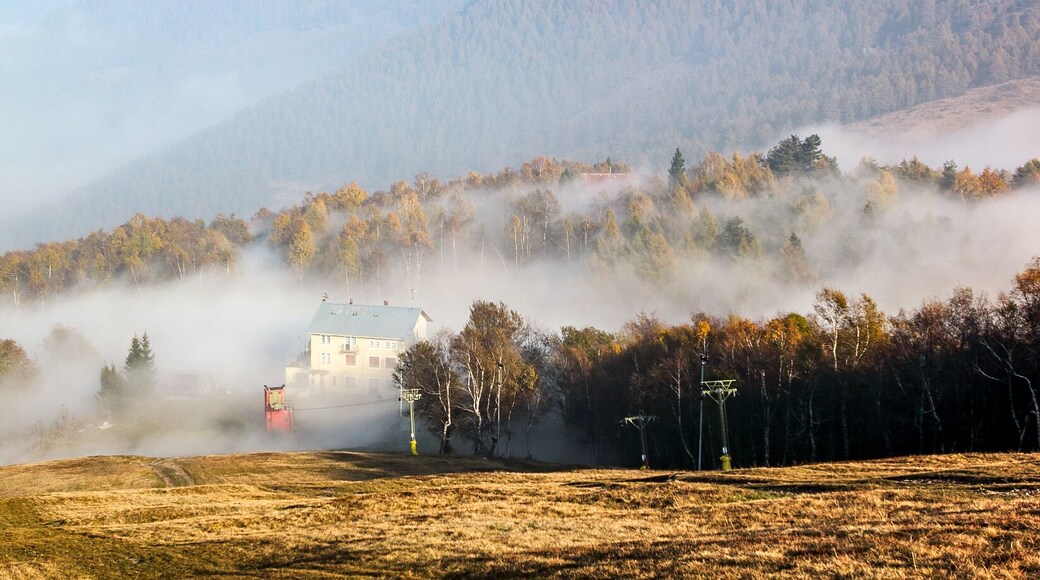 Parco naturale del Colle del Lys (Q3895417)