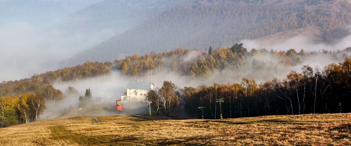 A house surrounded by a forested hillside with mist.