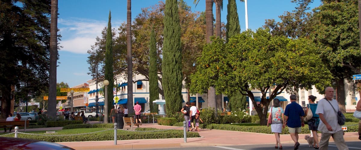 Old Towne showing a garden