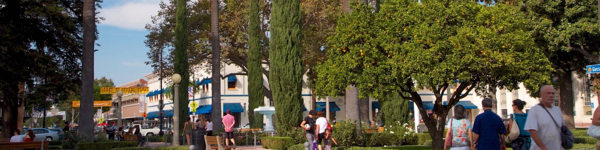 Old Towne featuring a park