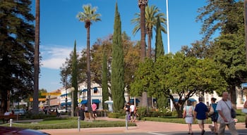 Old Towne featuring a park