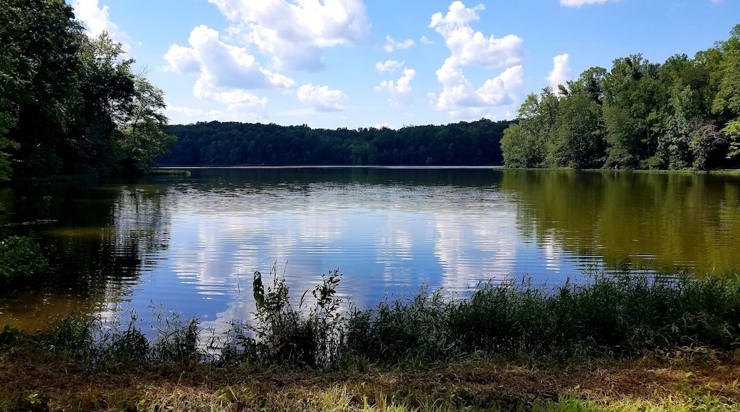 Reflections in the Water at Salem Lake Regional Park, Asheboro, North Carolina