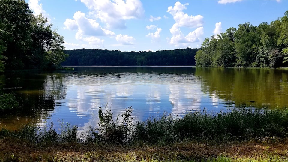 Reflections in the Water at Salem Lake Regional Park, Asheboro, North Carolina