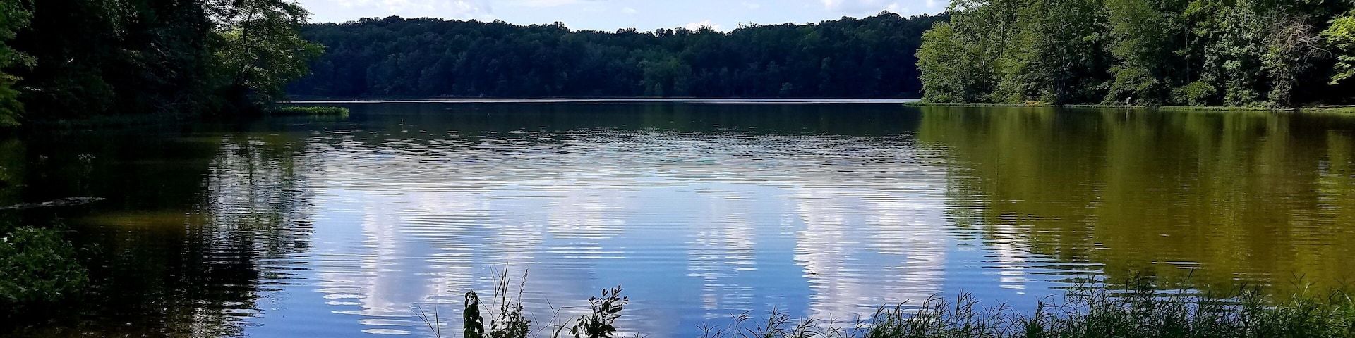 Reflections in the Water at Salem Lake Regional Park, Asheboro, North Carolina