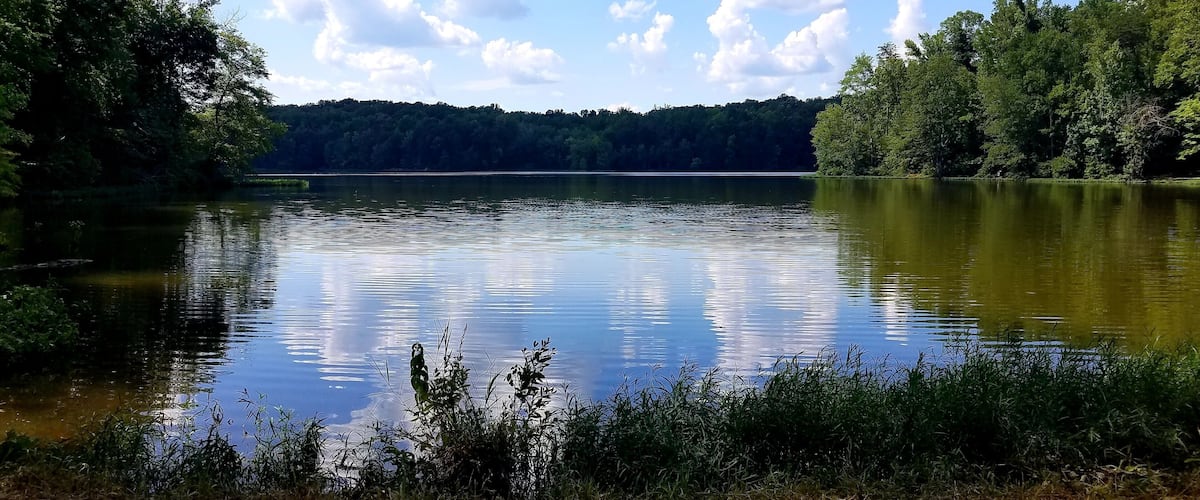 Reflections in the Water at Salem Lake Regional Park, Asheboro, North Carolina