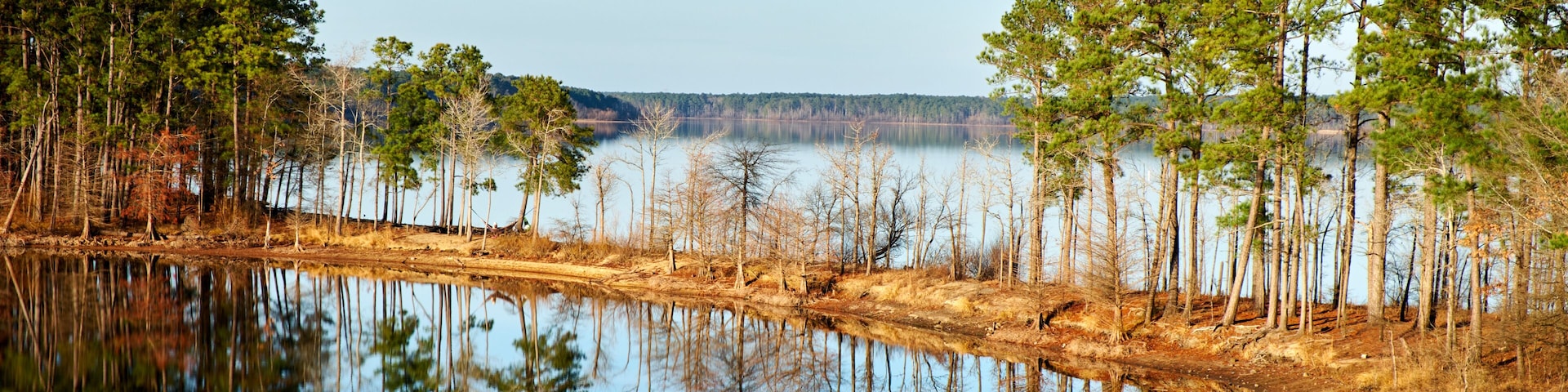 A calm lake with reflections of trees and a clear sky.