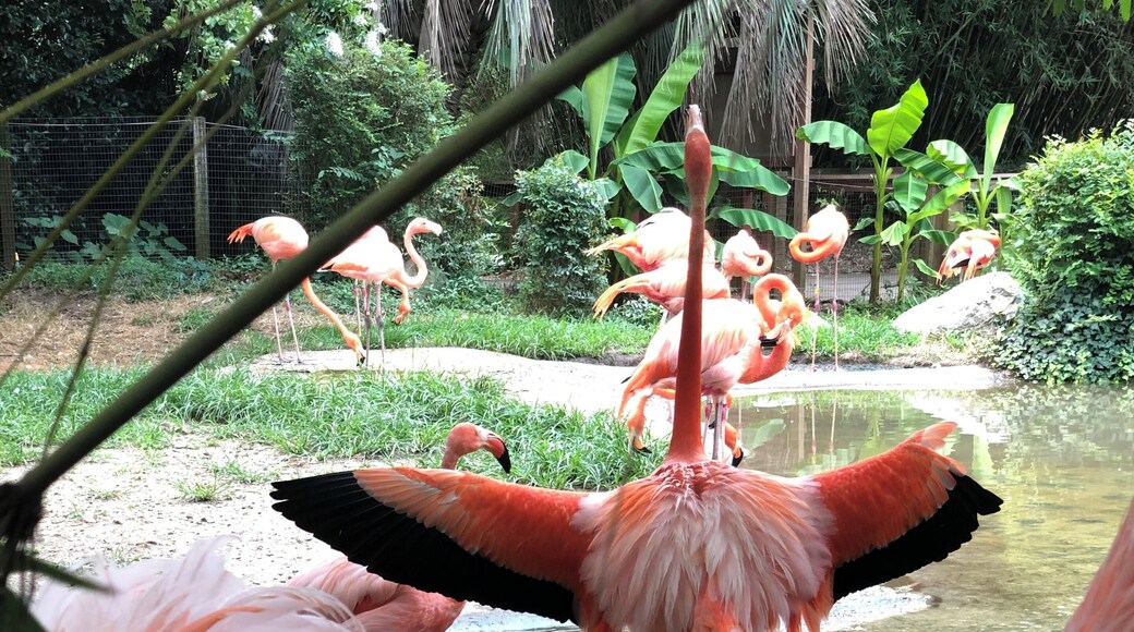 While most of the flamingos were busy, this one decided to show off #LifeAtExpedia