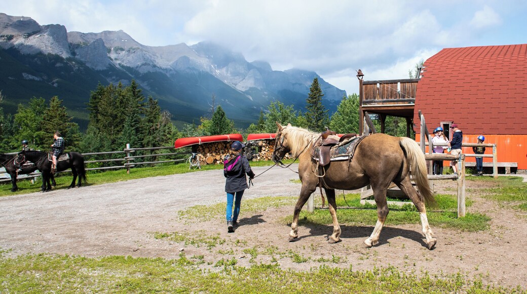 Canmore_CrossZeeRanch_6283098_11