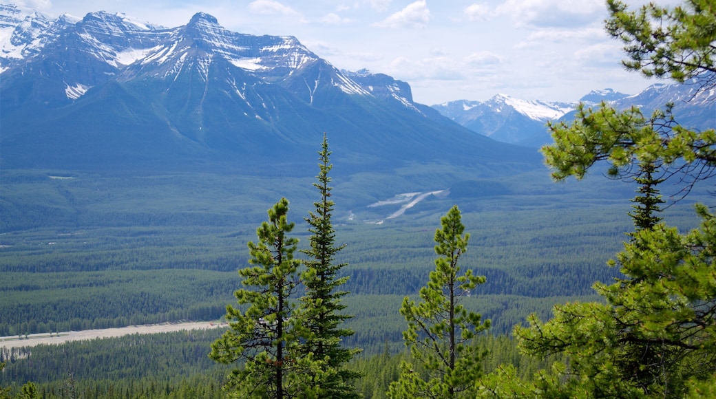 Lake Louise Gondola showing tranquil scenes and mountains
