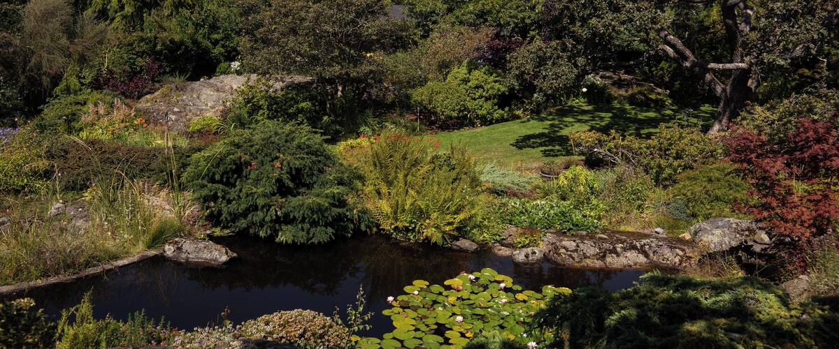 Victoria_AbkhaziGarden_6283108-6