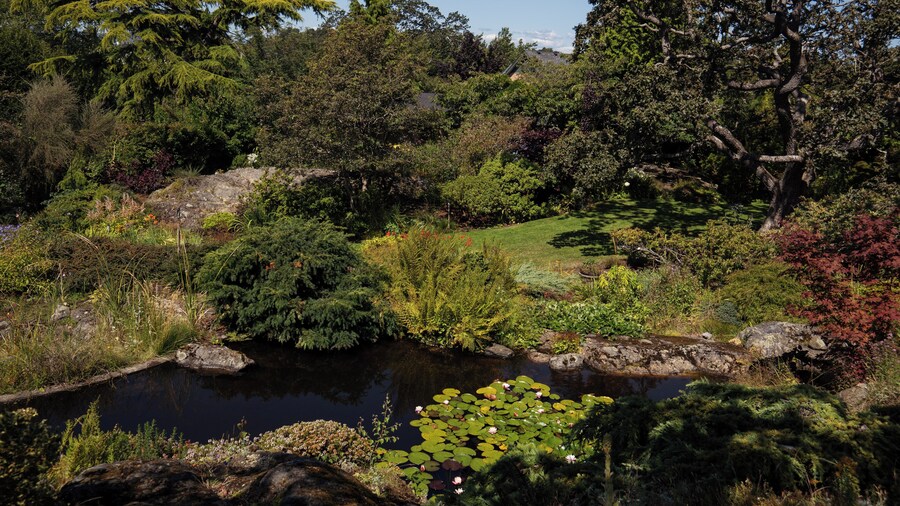 Victoria_AbkhaziGarden_6283108-6