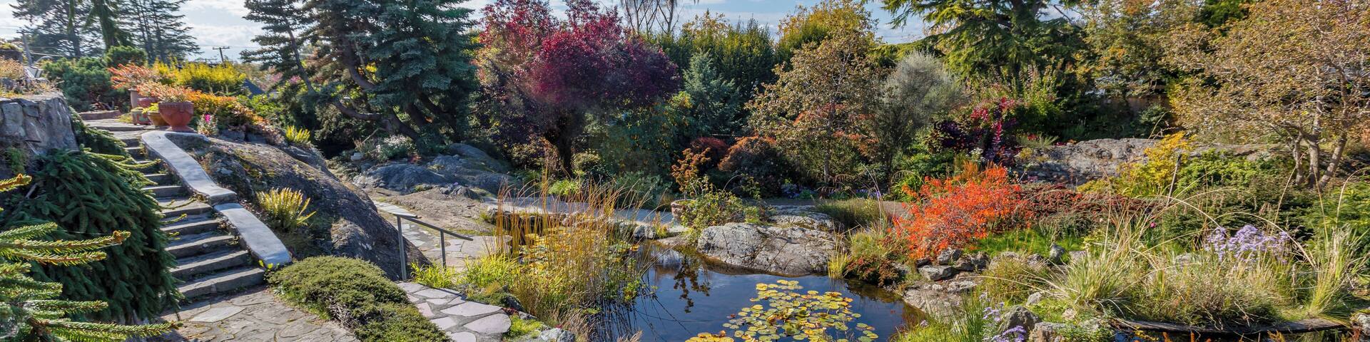 A garden with a pond, stone steps, and various trees.