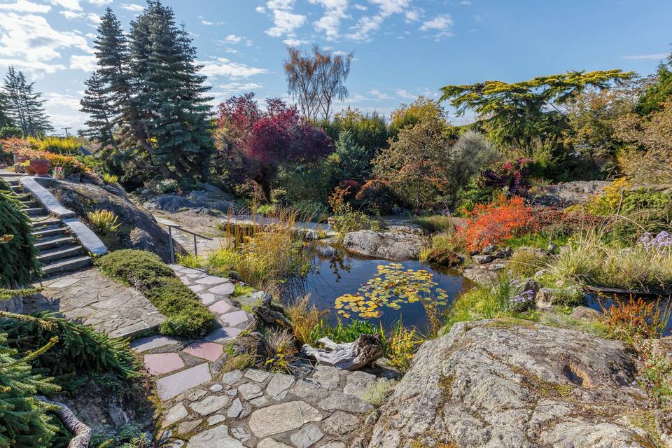 Un jardí amb un estany, escales de pedra i diferents arbres.