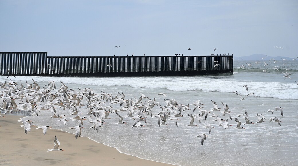 邊境州立公園海灘