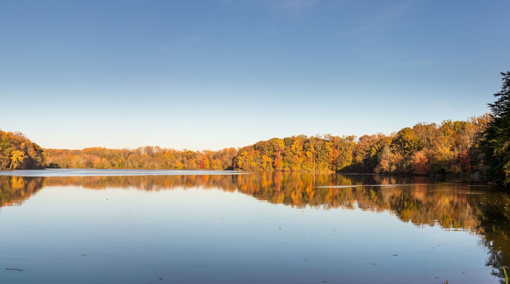 Fall at Lake Accotink
