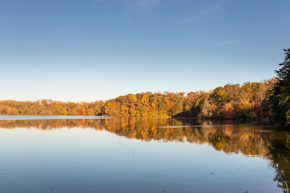A calm lake surrounded by autumn-colored trees.