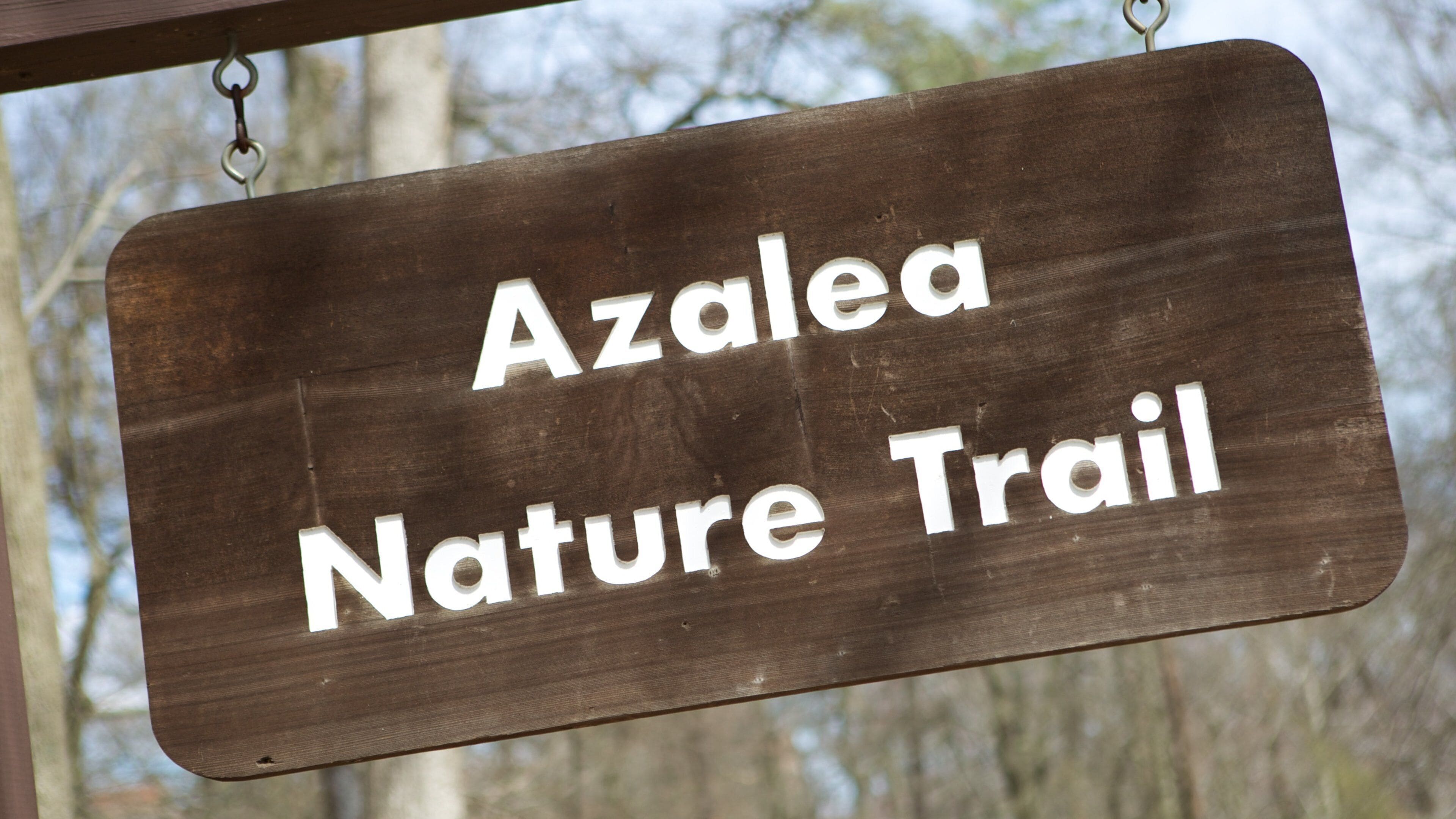 Greenbelt Museum showing signage