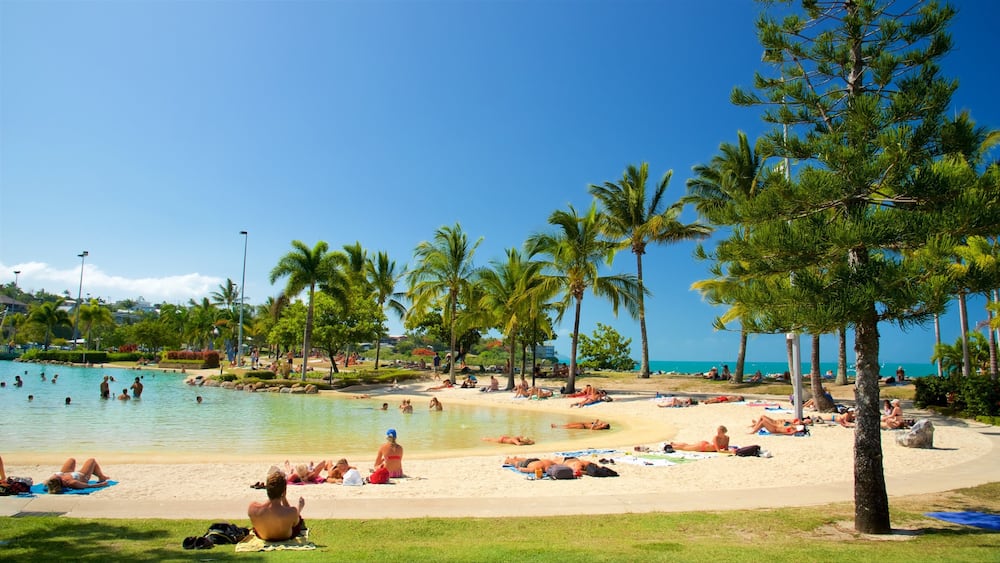 Airlie Beach Lagoon which includes general coastal views, a luxury hotel or resort and tropical scenes