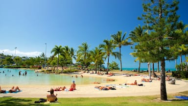 Airlie Beach Lagoon which includes general coastal views, a luxury hotel or resort and tropical scenes
