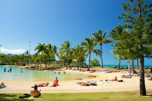 Airlie Beach Lagoon featuring swimming, tropical scenes and a luxury hotel or resort