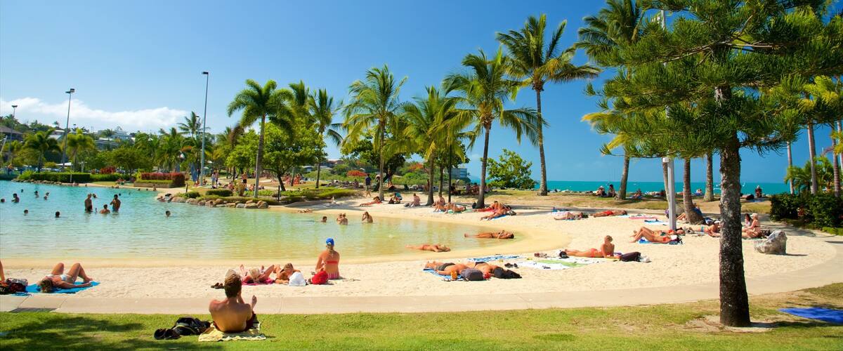 A beach with palm trees, a pool, and people sunbathing.