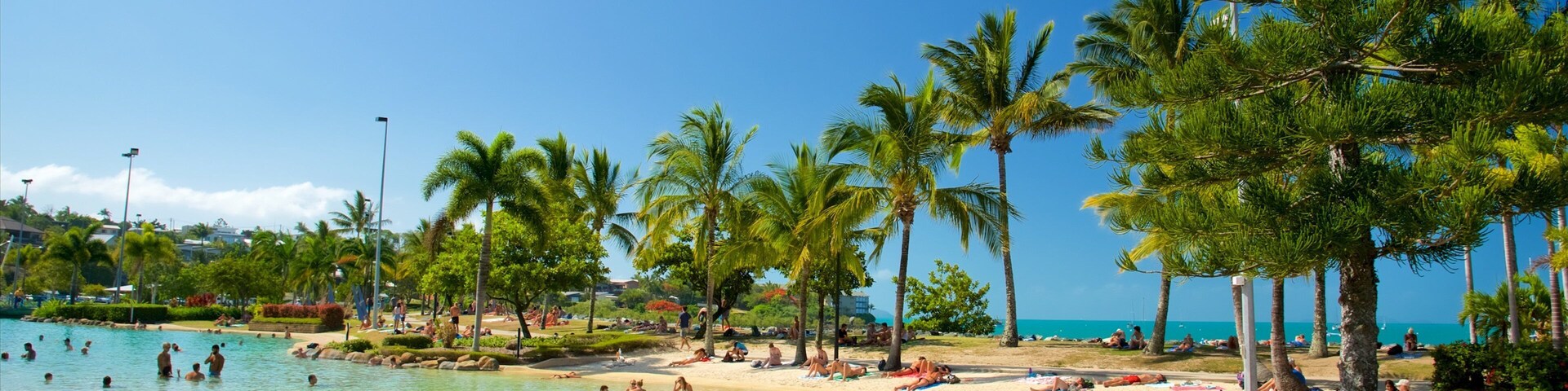 Airlie Beach Lagoon featuring swimming, tropical scenes and a luxury hotel or resort