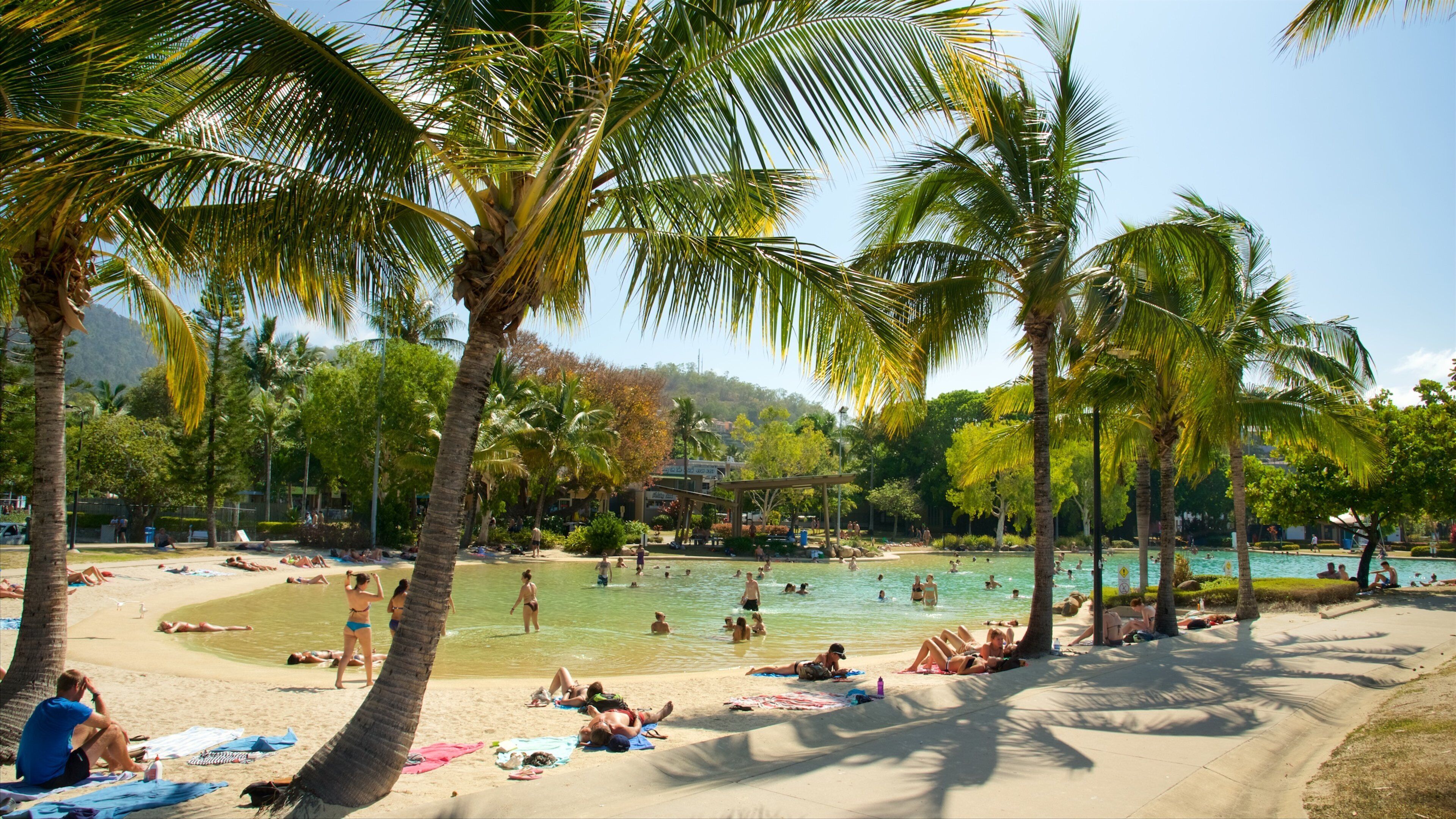 Airlie Beach Lagoon presenterar en pool, tropisk natur och bad