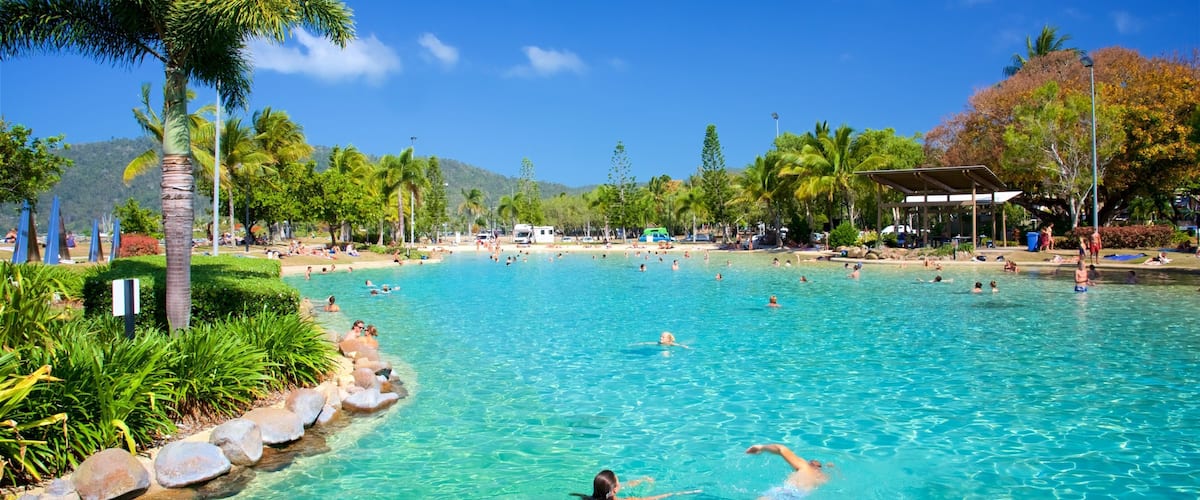 Airlie Beach Lagoon showing a pool, swimming and tropical scenes