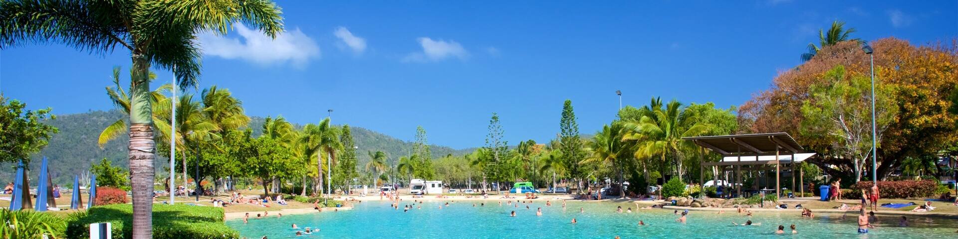 Airlie Beach Lagoon showing a pool, swimming and tropical scenes