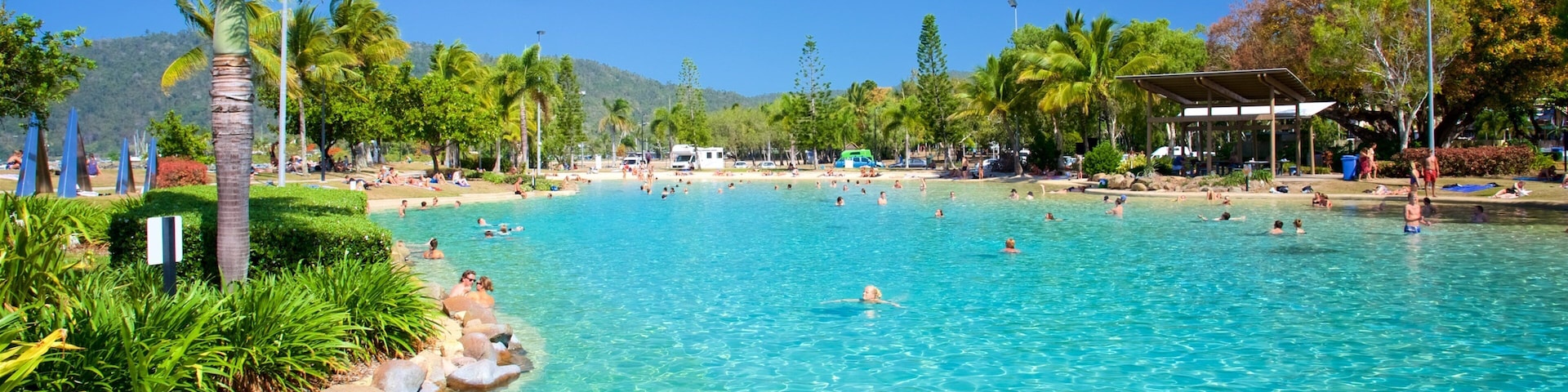 Airlie Beach Lagoon showing a pool, swimming and tropical scenes