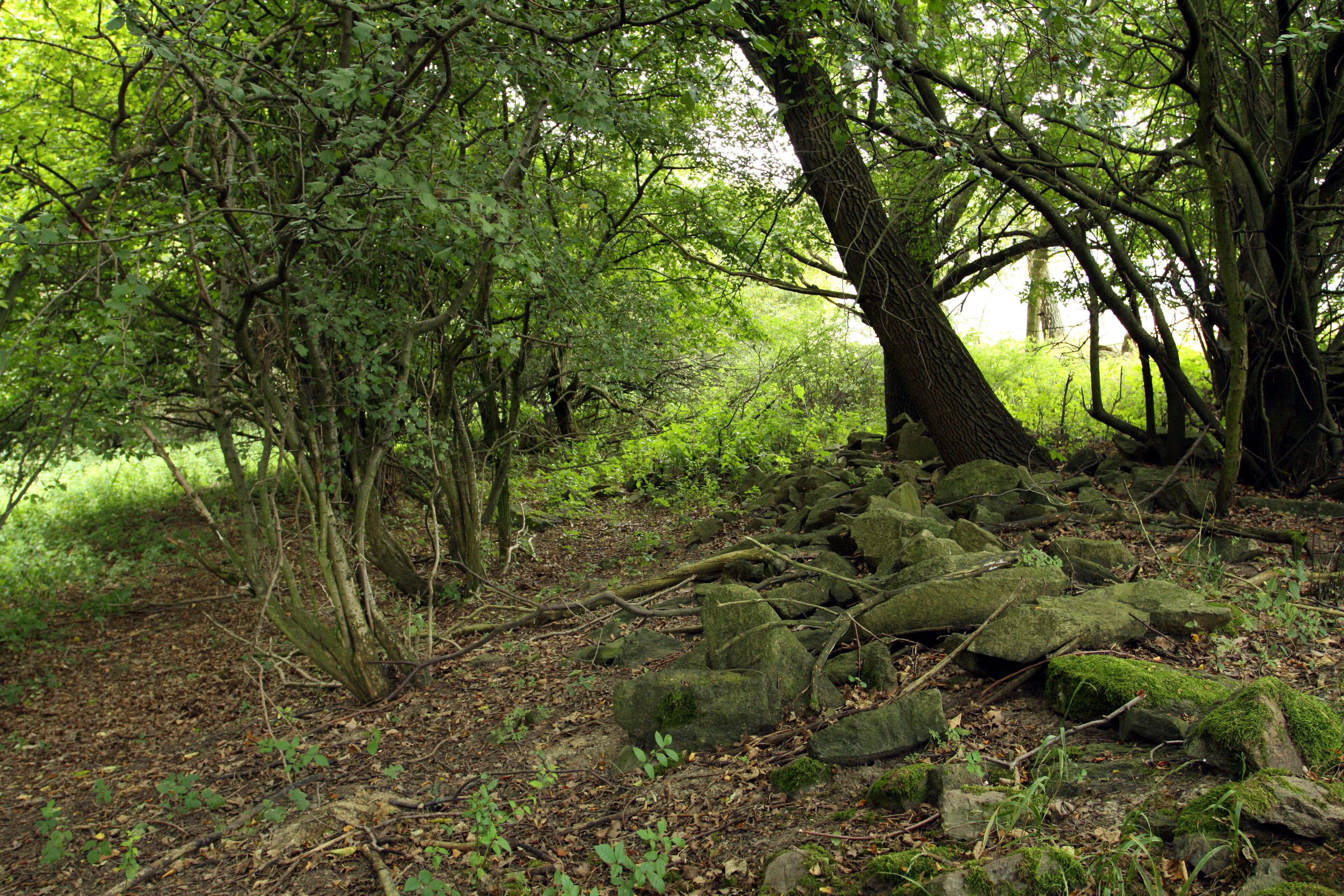 Nature reserve Libouchecké rybníčky close to Libouchec village in Ústí nad Labem District, Czech Republic