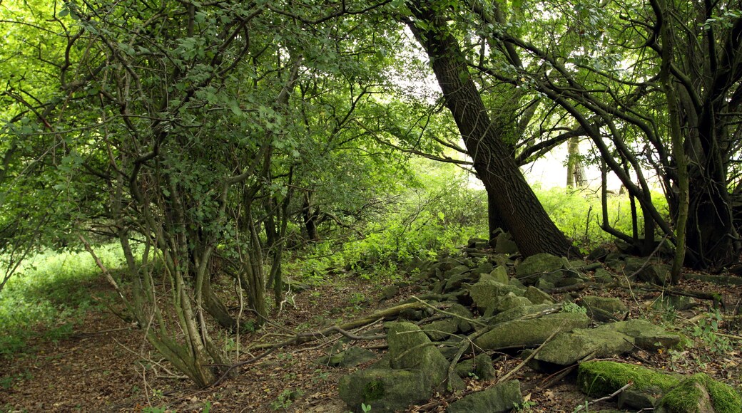 Nature reserve Libouchecké rybníčky close to Libouchec village in Ústí nad Labem District, Czech Republic