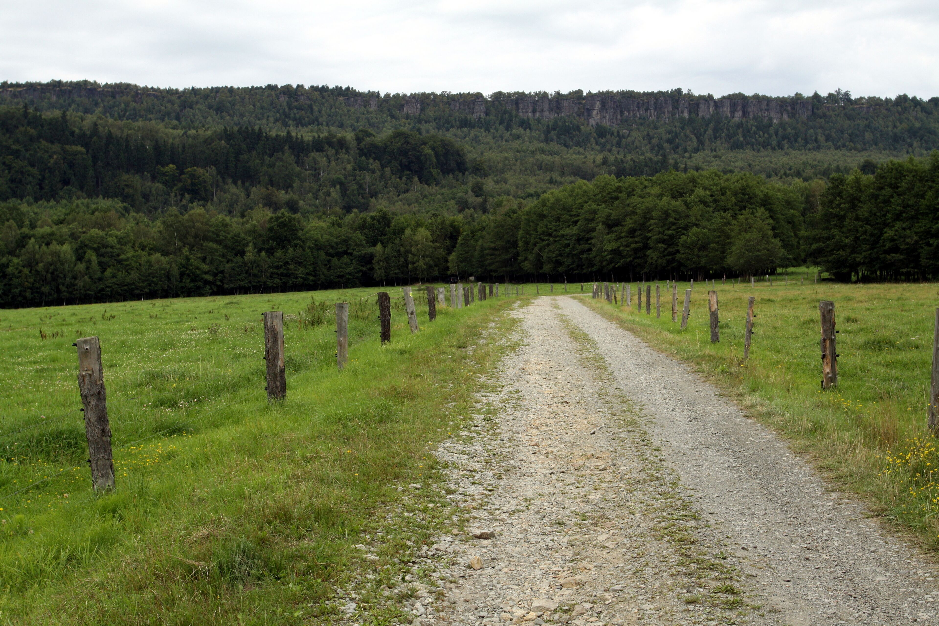 CHKO Labské pískovce, photographed close to Libouchec village in Ústí nad Labem District, Czech Republic