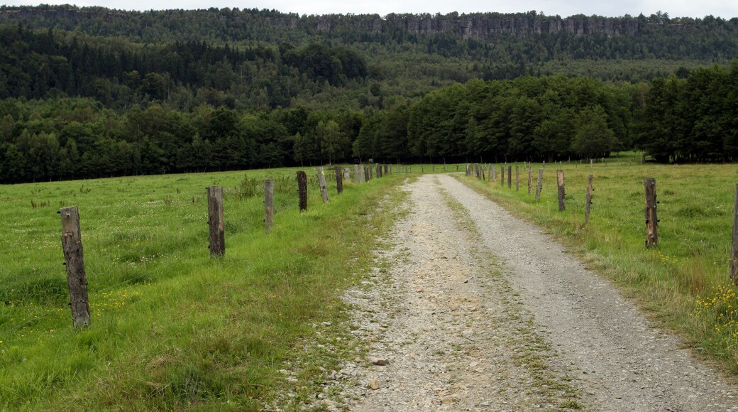 CHKO Labské pískovce, photographed close to Libouchec village in Ústí nad Labem District, Czech Republic