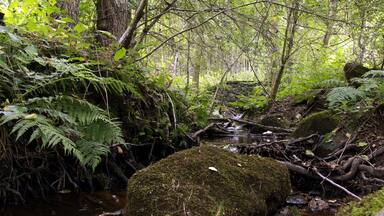 Nature reserve Libouchecké rybníčky close to Libouchec village in Ústí nad Labem District, Czech Republic