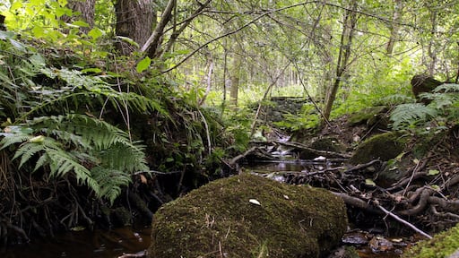 Nature reserve Libouchecké rybníčky close to Libouchec village in Ústí nad Labem District, Czech Republic