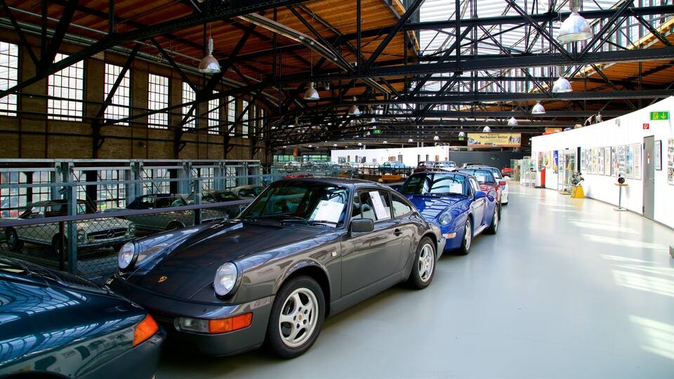 Un salón de exhibición de automóviles con varios coches clásicos.