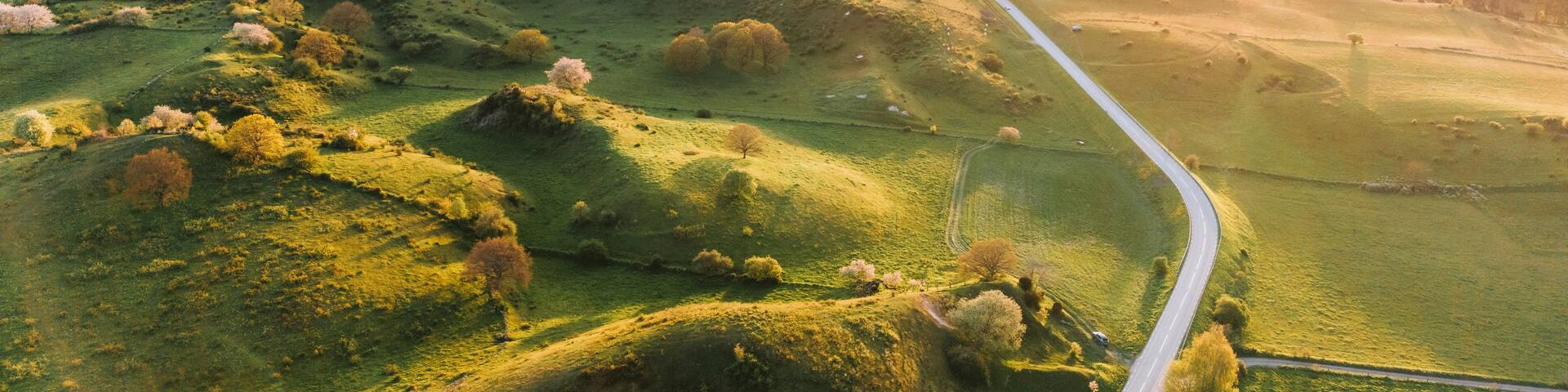 A winding road through rolling hills with scattered trees and a distant village.