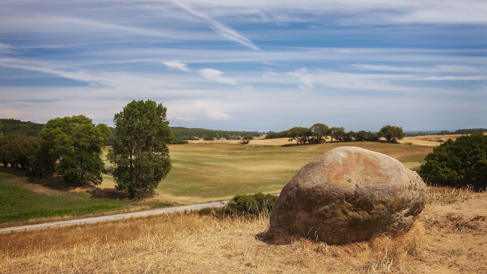 Hilly rural landscape. Brosarp, south Sweden.