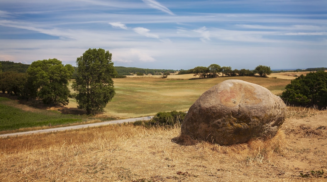 Hilly rural landscape. Brosarp, south Sweden.