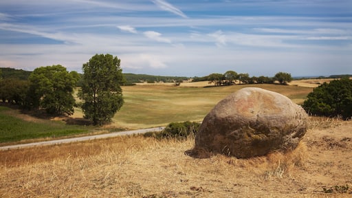 Hilly rural landscape. Brosarp, south Sweden.