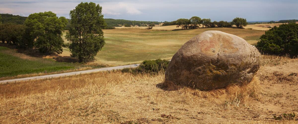 A large rock in a field with trees and a clear sky.