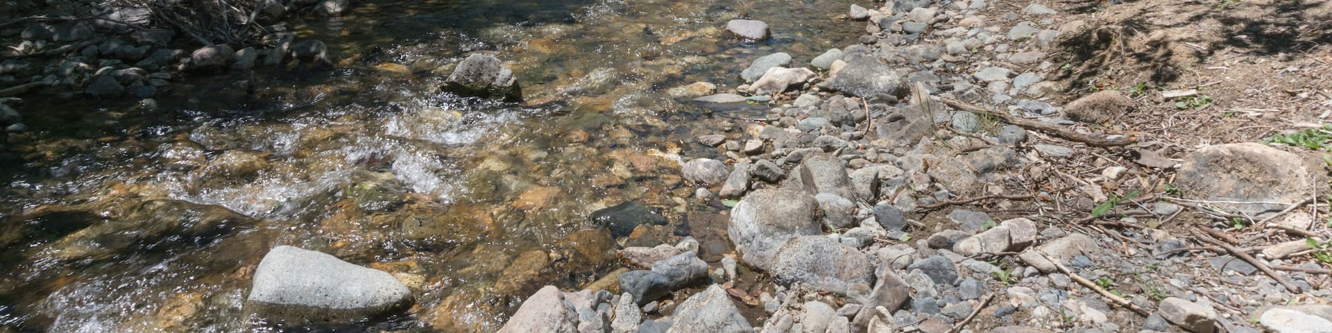 The Red River in New Mexico.
