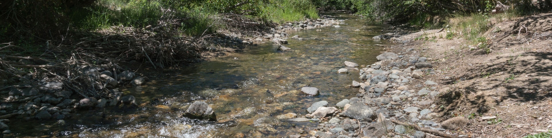 The Red River in New Mexico.