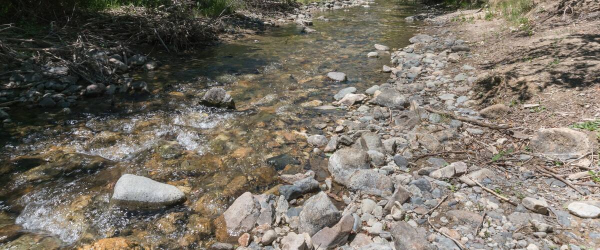 A clear stream with rocks and trees.
