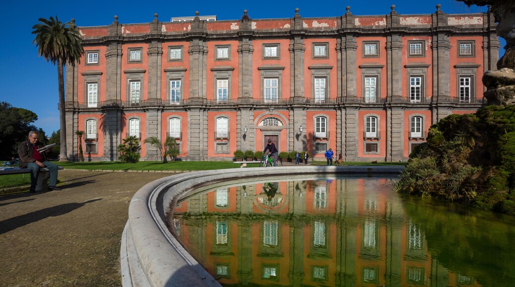 Capodimonte